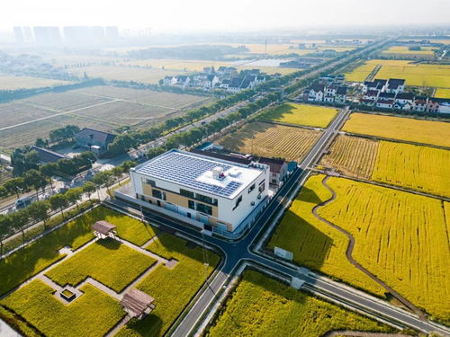 金山好味稻，与农民共享致富经——谷秀科技的智慧农业实践