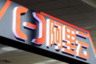 东方龙马 阿里云是数据库“头号玩家”，云数据库定义行业未来方向