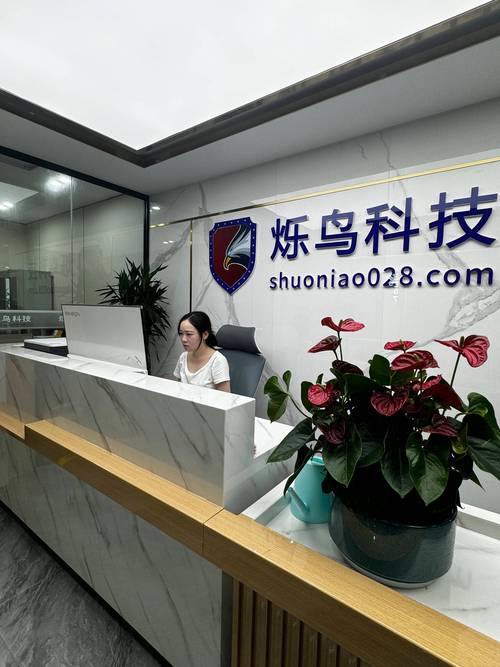 烁鸟手游科技丨深度解析:游戏工作室的背后逻辑
